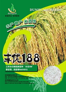 丰优188