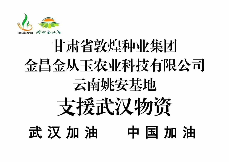 众志成城 抗击疫情 敦煌种业金从玉在行动