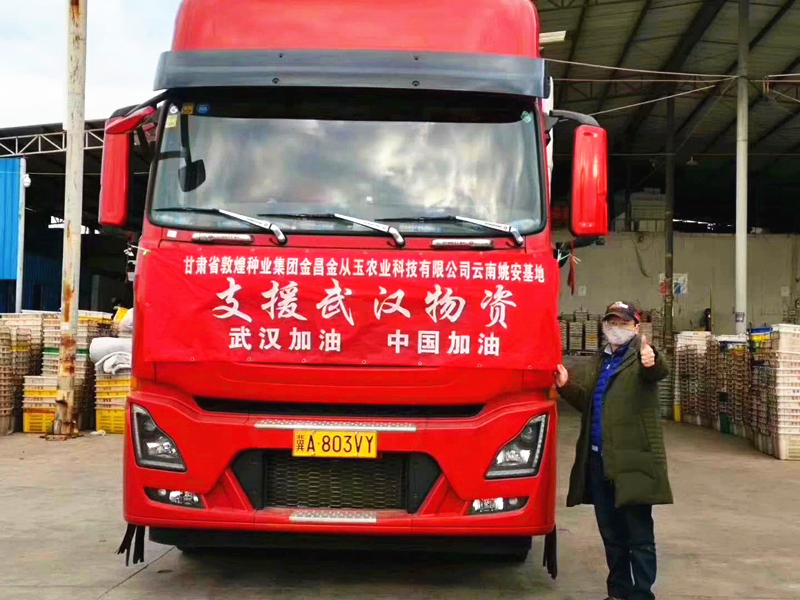 众志成城 抗击疫情 敦煌种业金从玉在行动