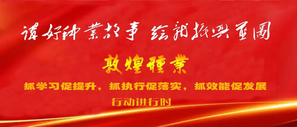 优秀敦煌种业人系列|在路上 -- 敦煌种业百佳食品有限公司优秀共产党员郭亚囡